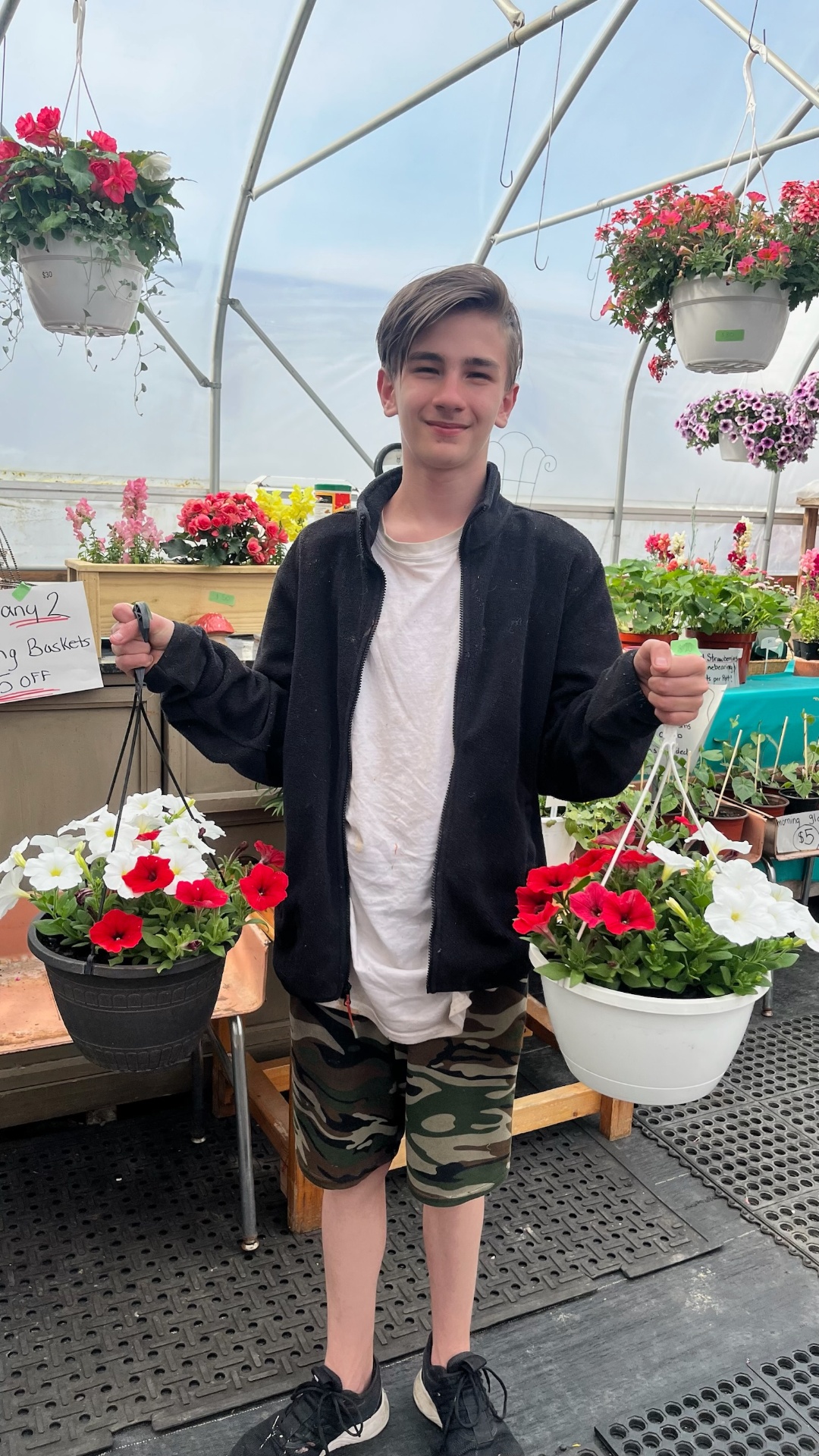 Buy 2 Hanging Baskets