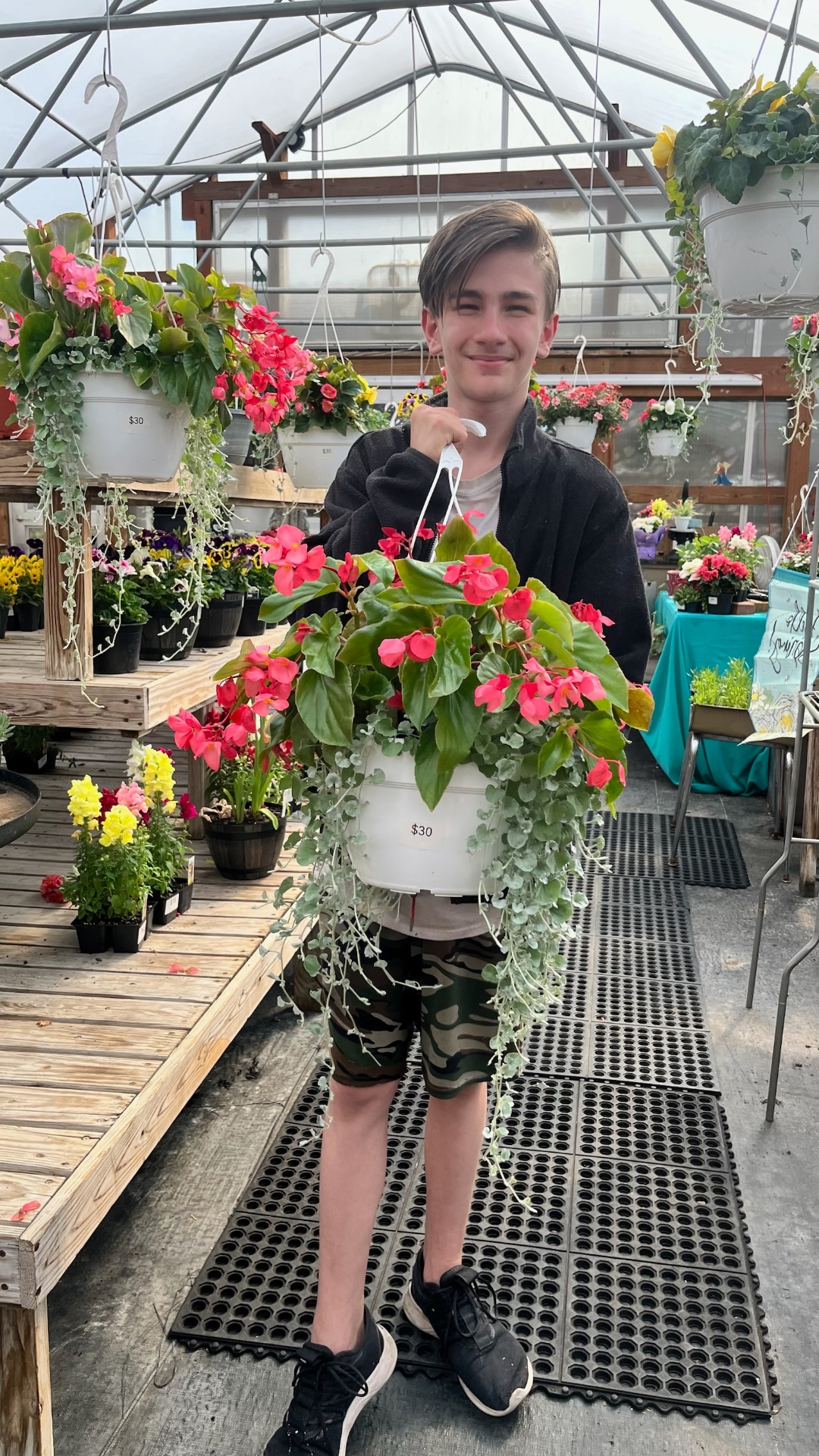 Begonia Hanging Baskets