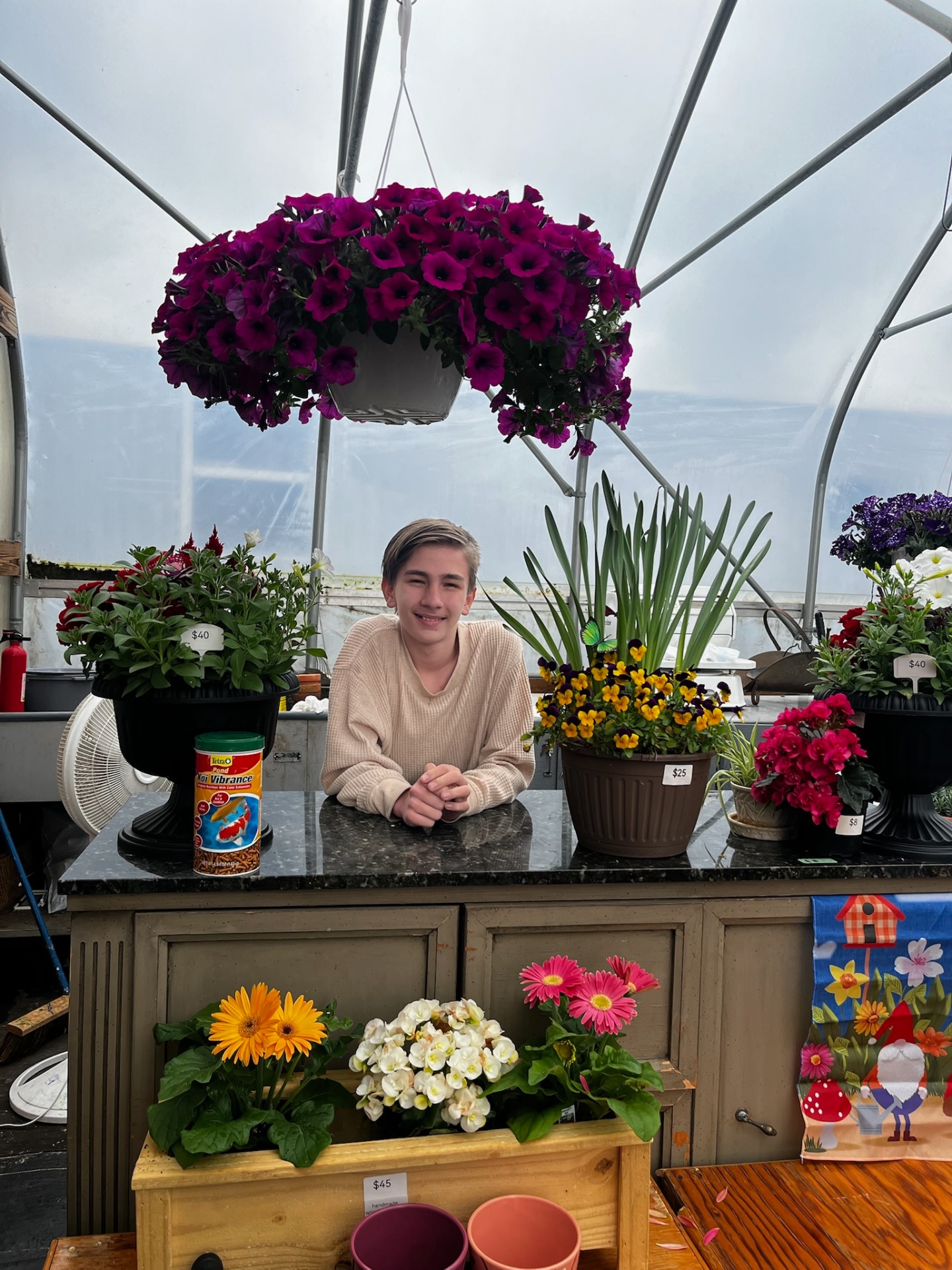 Wave Petunia Basket