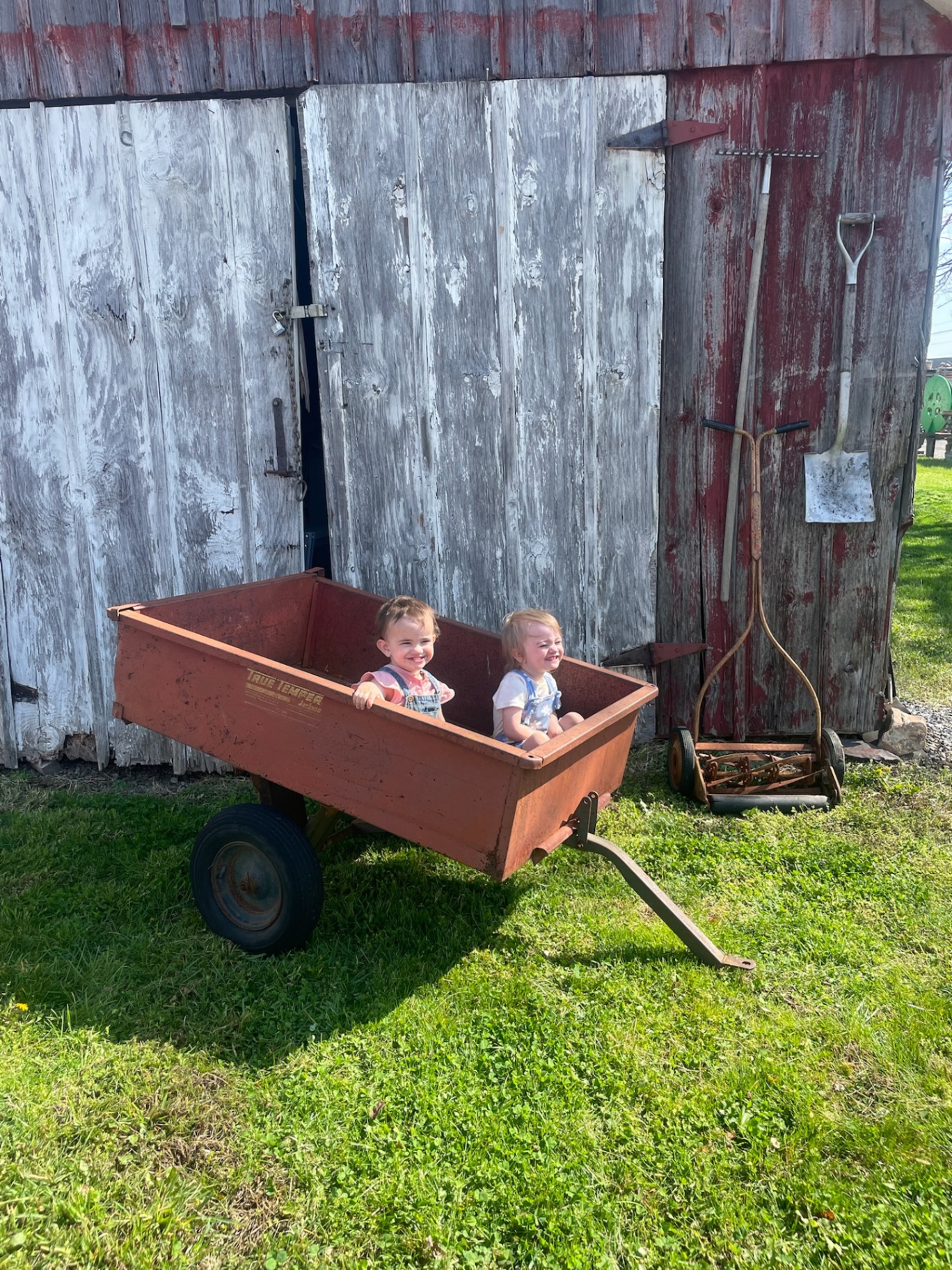 Two of the kids in an old red wagon by the barn